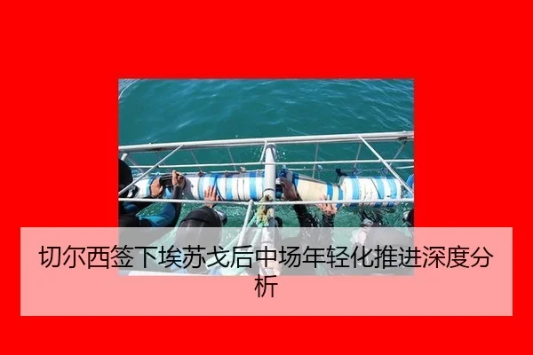 qie-er-xi-qian-xia-ai-su-ge-hou-zhong-chang-nian-qing-hua-tui-jin-shen-du-fen-xi-2-264.jpg